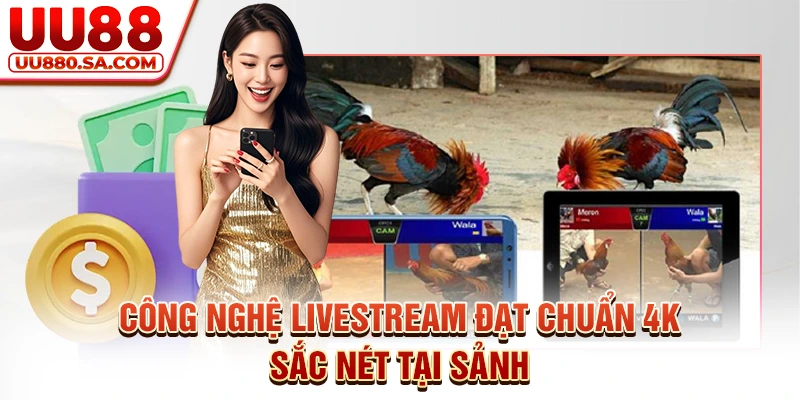 Công nghệ livestream đạt chuẩn 4K sắc nét tại sảnh